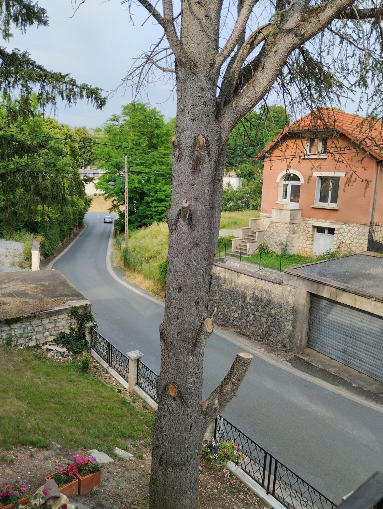 Villa Du Bien Etre Argenton Sur Creuse Εξωτερικό φωτογραφία